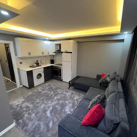Merkezde Luks Daire Apartment